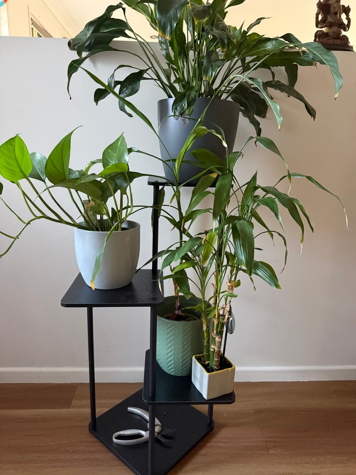 Plant Stand with Plants