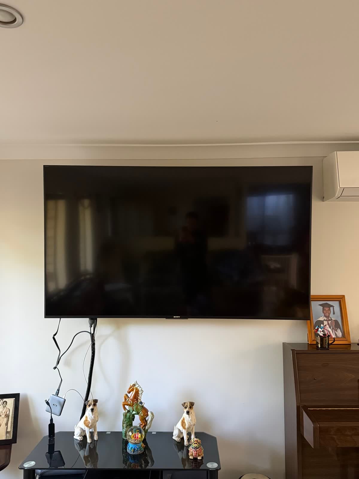 Sony Large-Screen LED TV